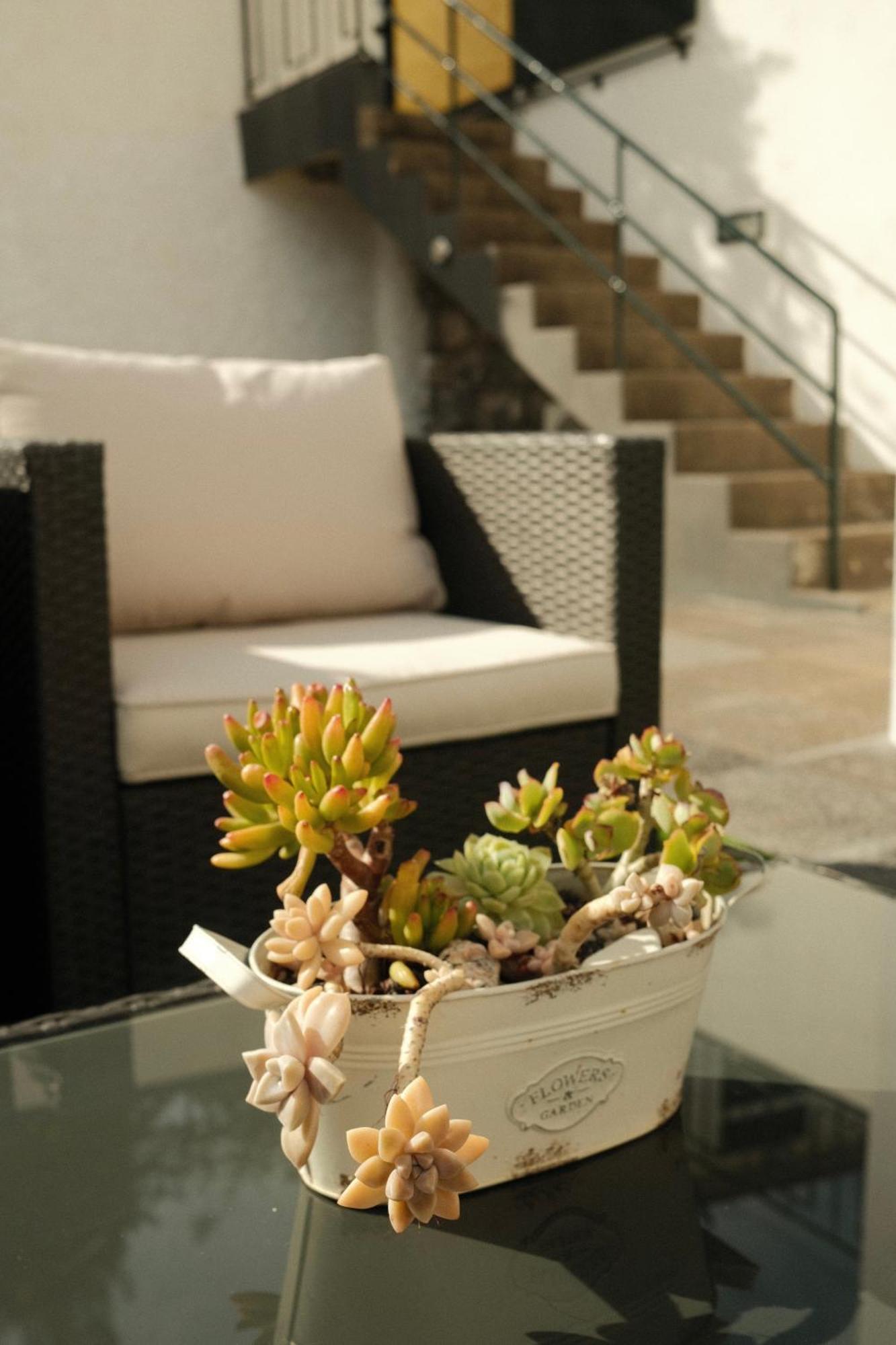 Casa15 Guesthouse Funchal Buitenkant foto